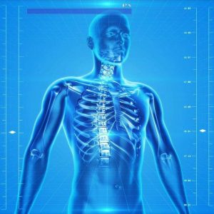 Weiterbildung der Strukturellen Körperpsychotherapie